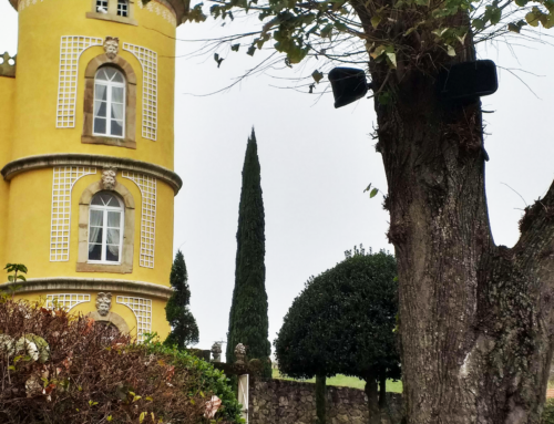 Installation audiovisuelle haut de gamme au Château de Chavagnac